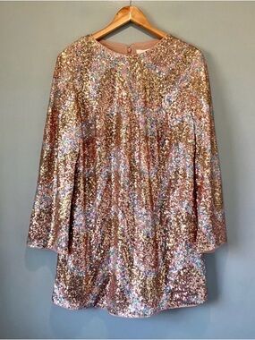 Sequin Embellished Crewneck Dress